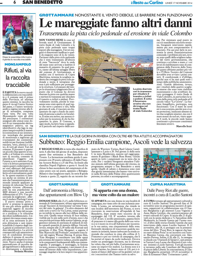 [C-API - 6] CARLINO/GIORNALE/API/06 ... 17/11/14